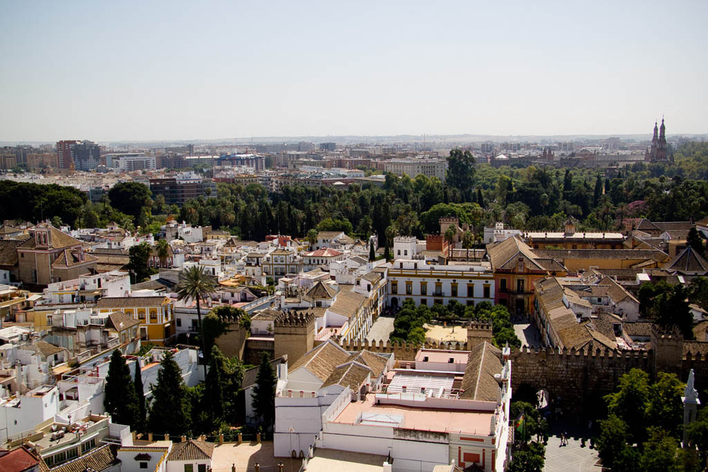 Views of Seville from the Tower of Seville