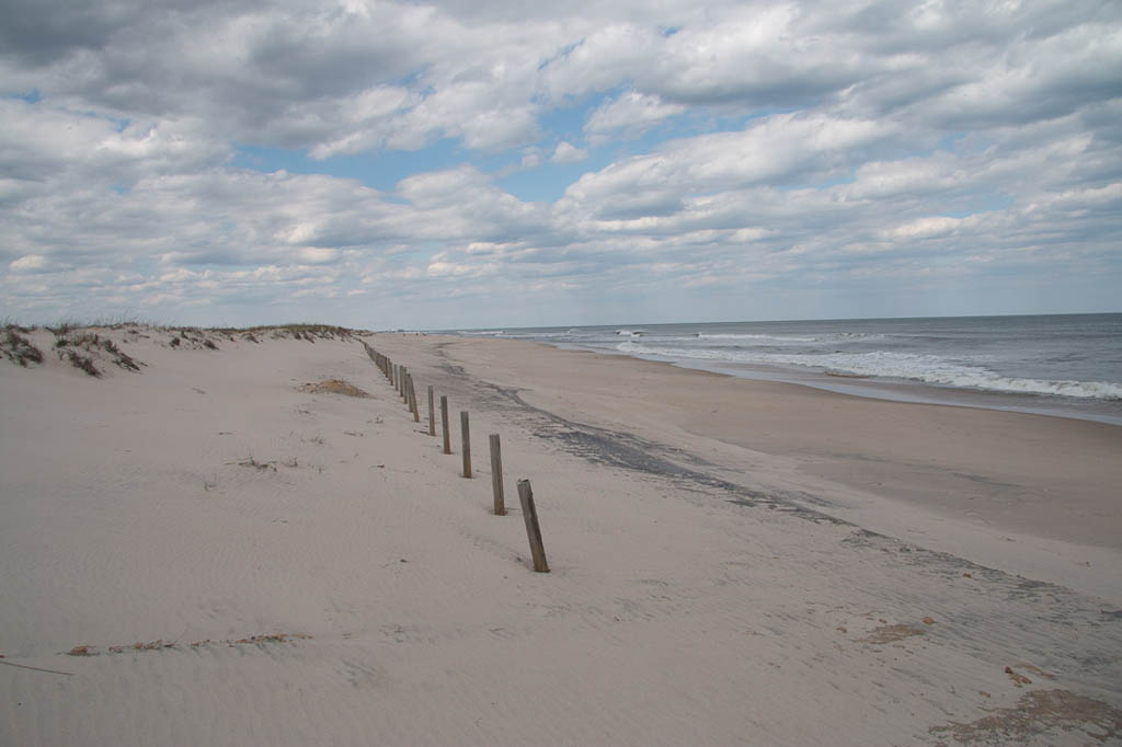 Beach at Assateague State Park | Campground