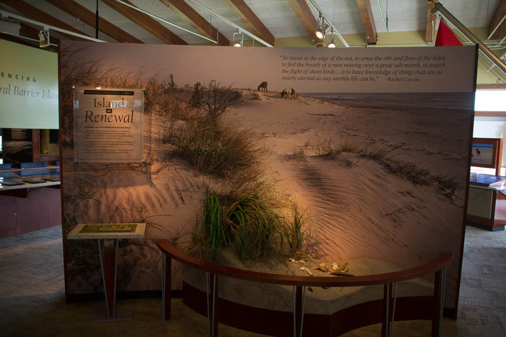 Exhibit at Assateague Visitor Center