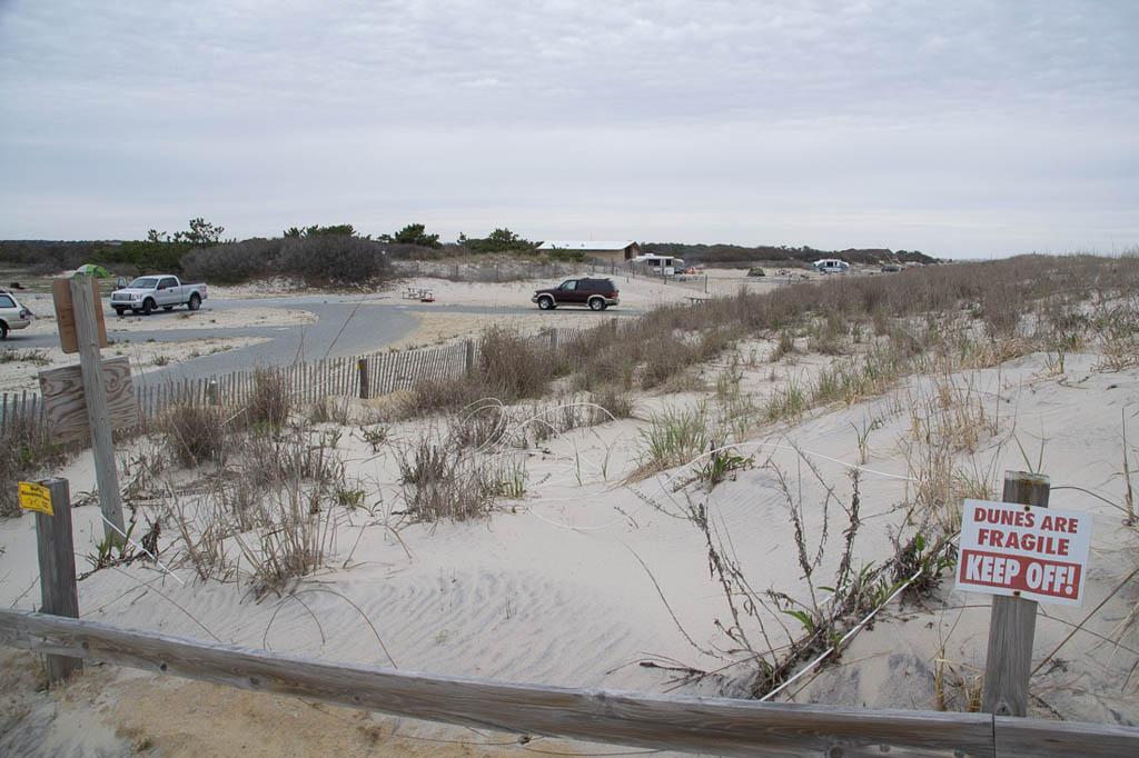 Access path to beach at Assateague State Park