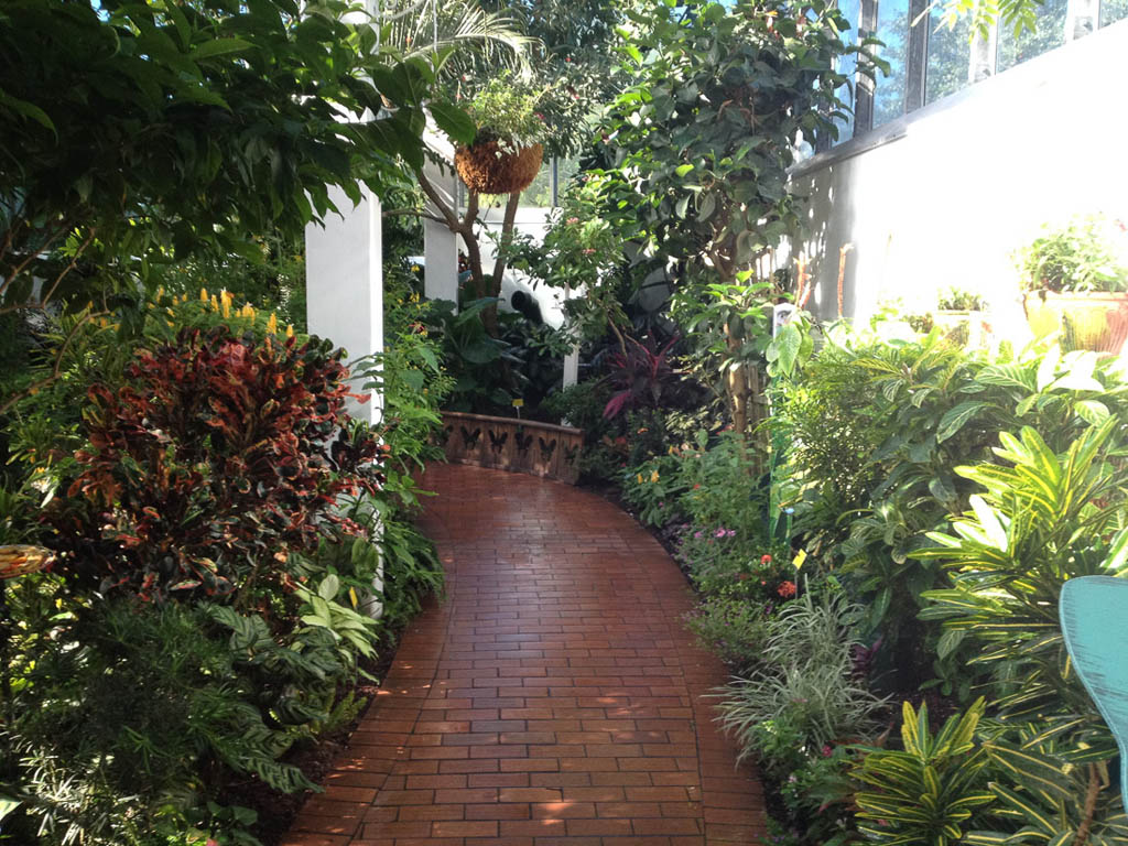 Inside the Butterfly Conservatory