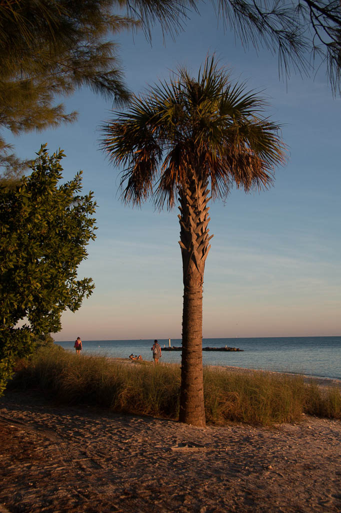 Warm sunset light on beach