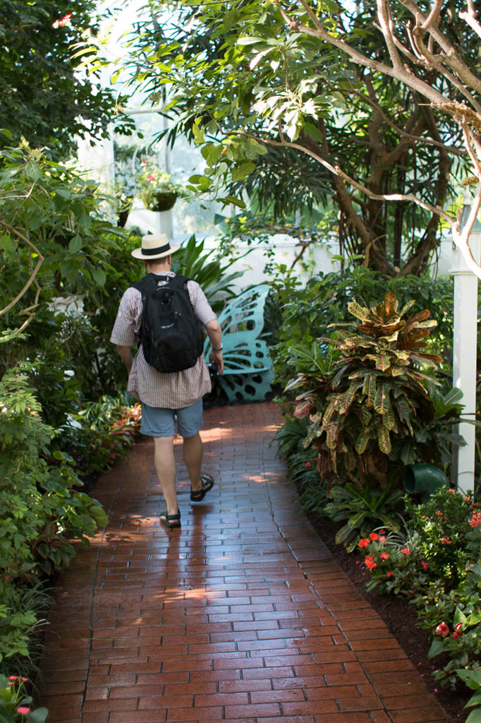 Inside the Butterfly Conservatory