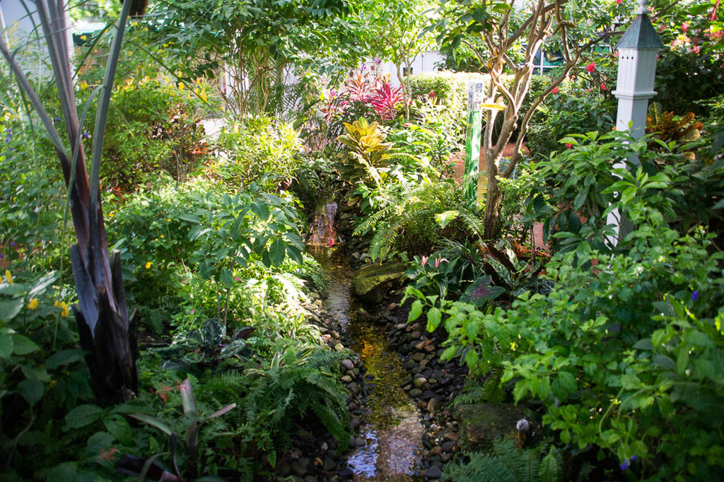 Inside the Butterfly Conservatory