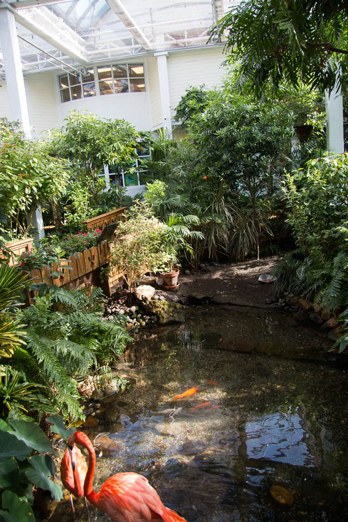 Inside the Butterfly Conservatory