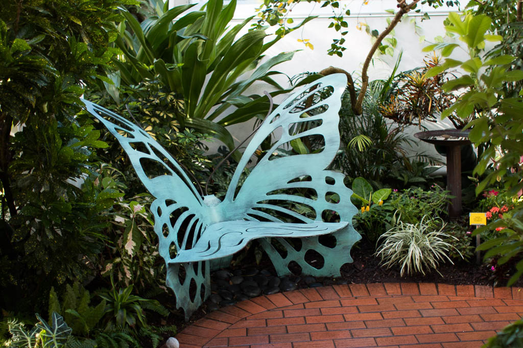 Inside the Butterfly Conservatory