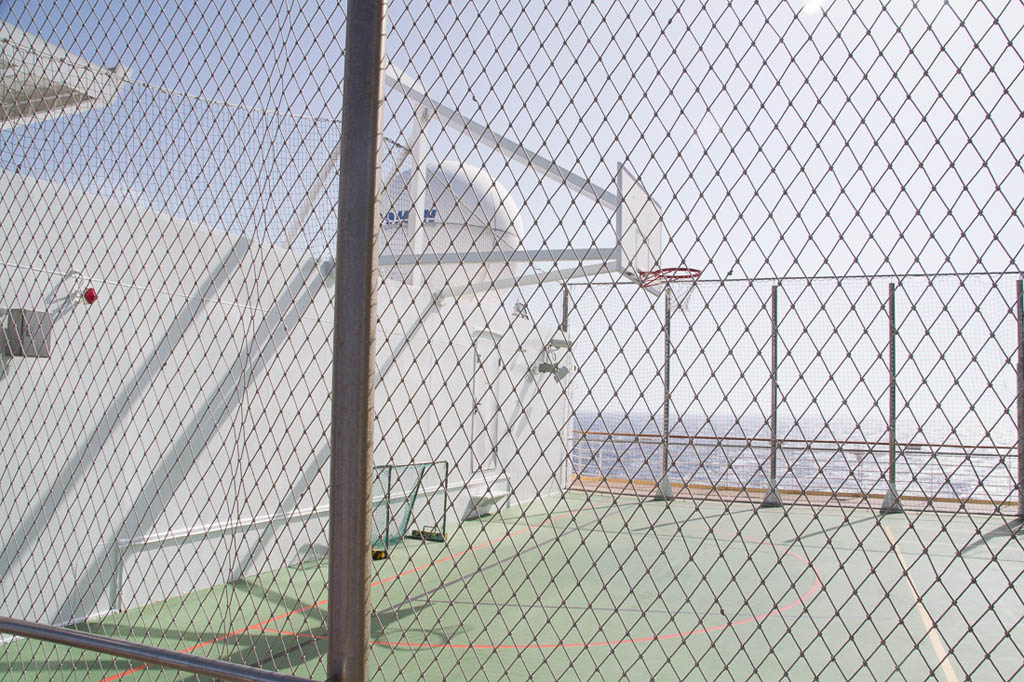 Basketball and hockey nets