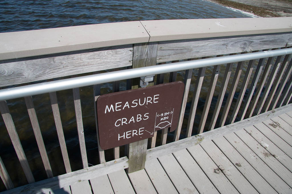 Measure crabs here | Sign at Assateague