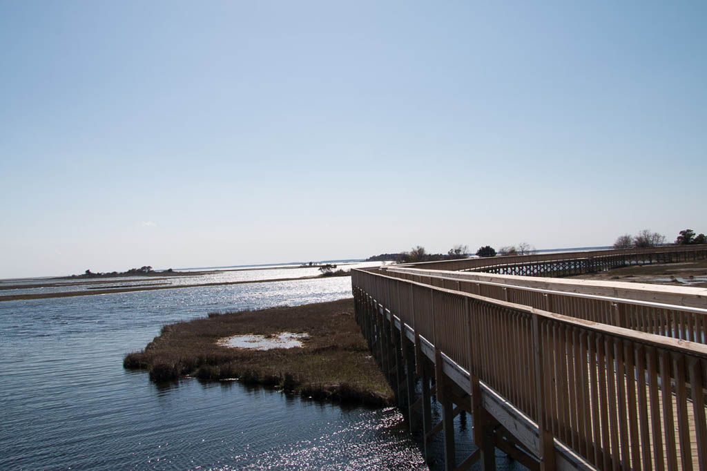 Life of the Marsh Trail at Assateague