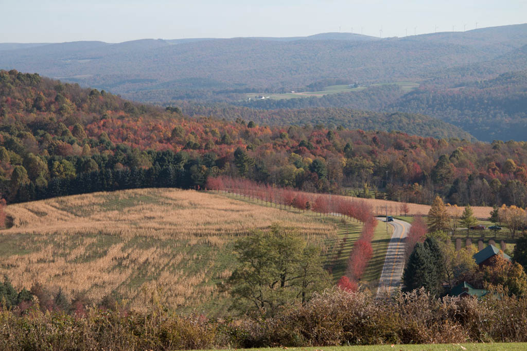 View of Laurel Highlands from Kentuck Knob