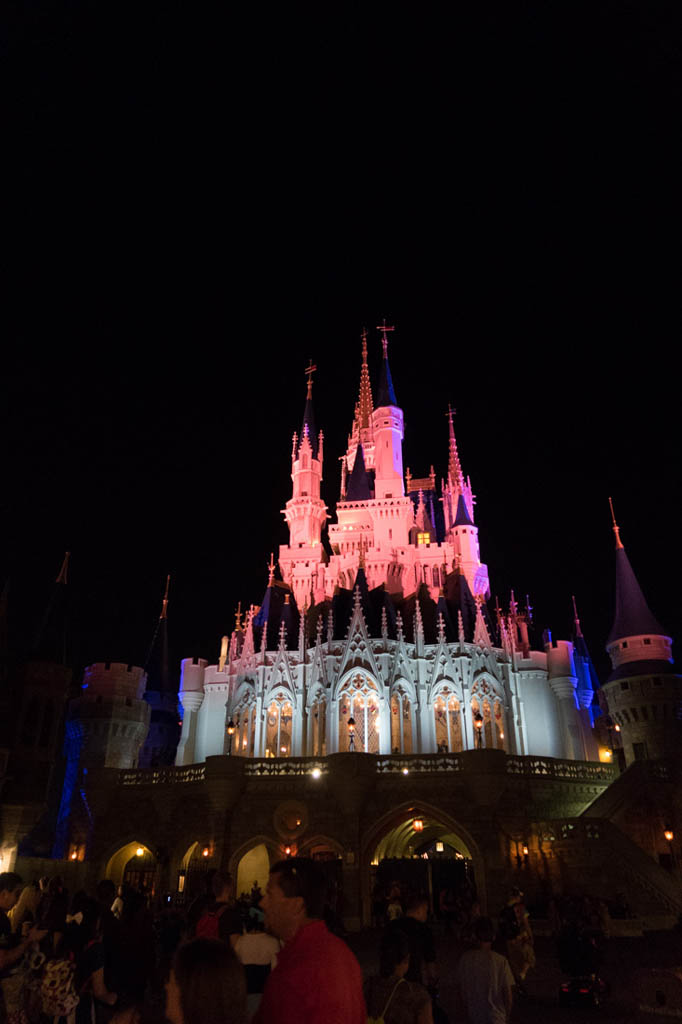 Cinderella’s Castle at Night
