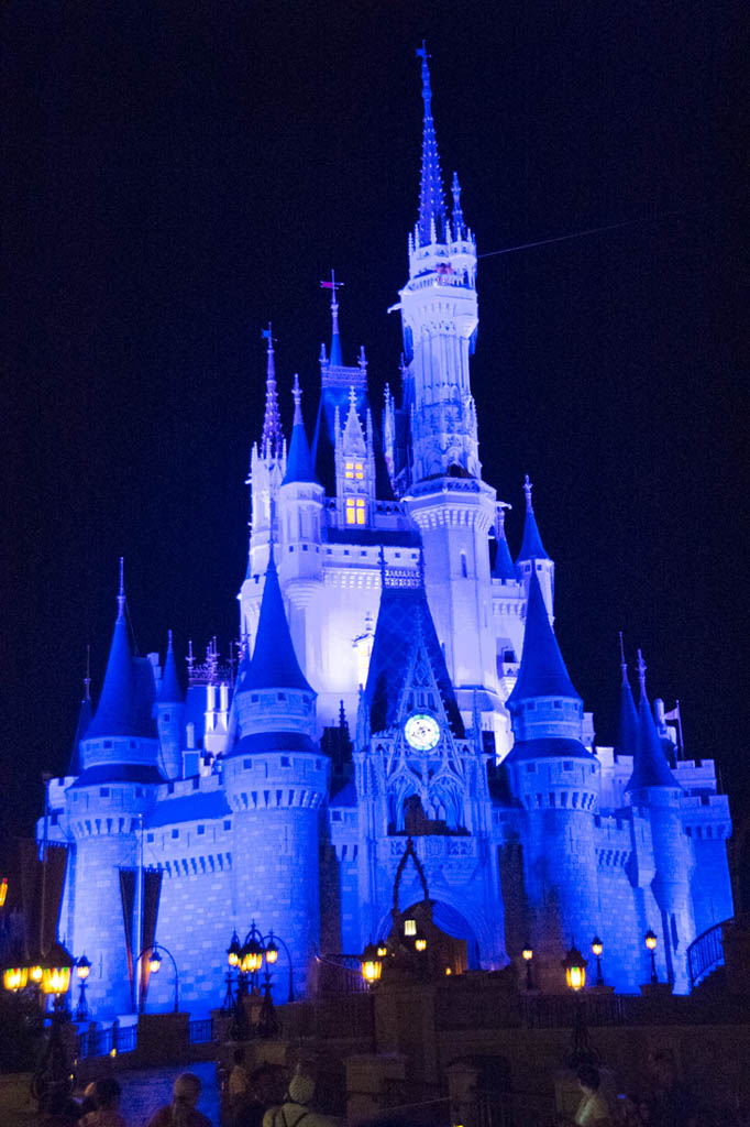 Disney Castle at Night