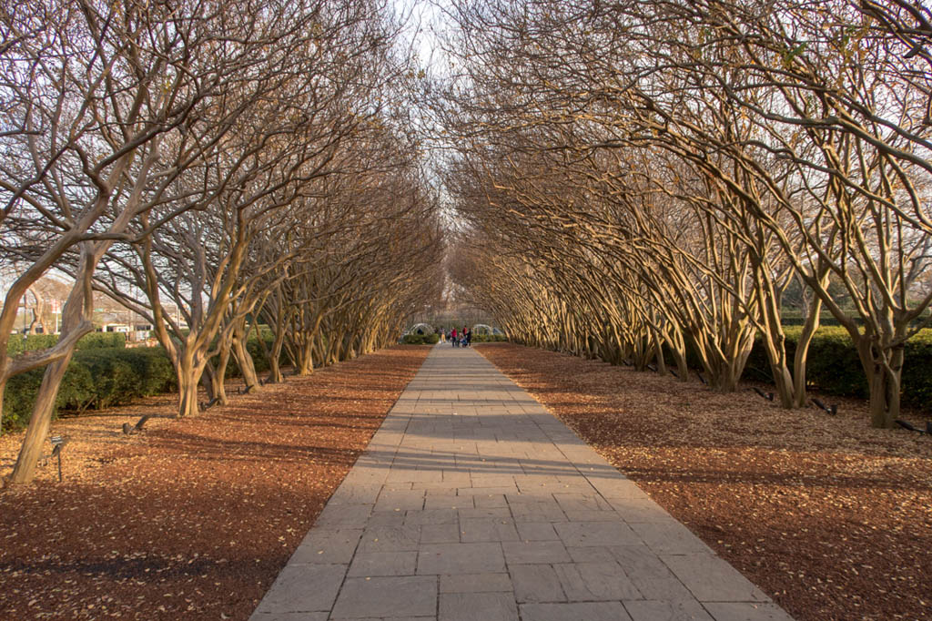 Dallas Arboretum and Botanical Garden