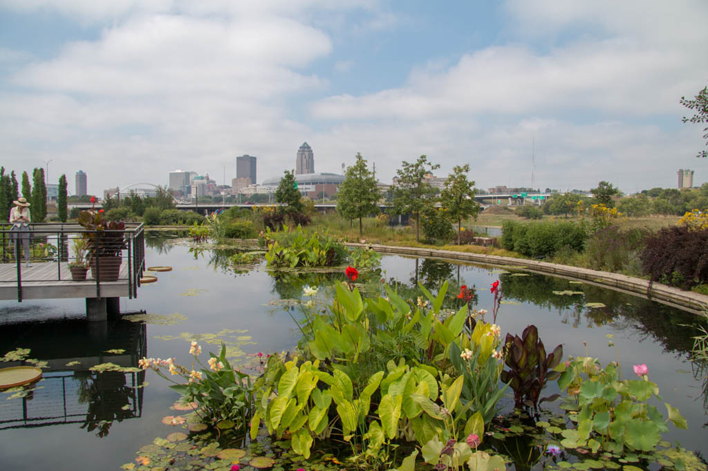 Pond and flowers at the garden