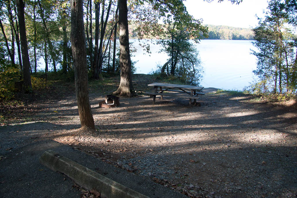 Site 116 at Gifford Pinchot State Park