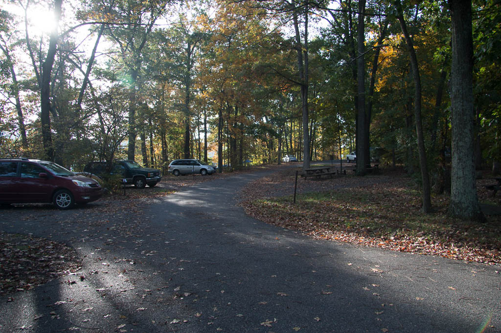 Campsites at Loop A