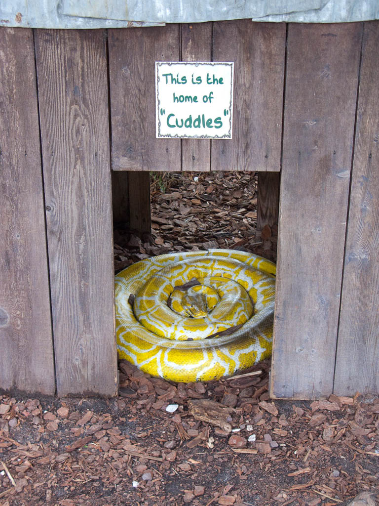 Gatorland in Orlando