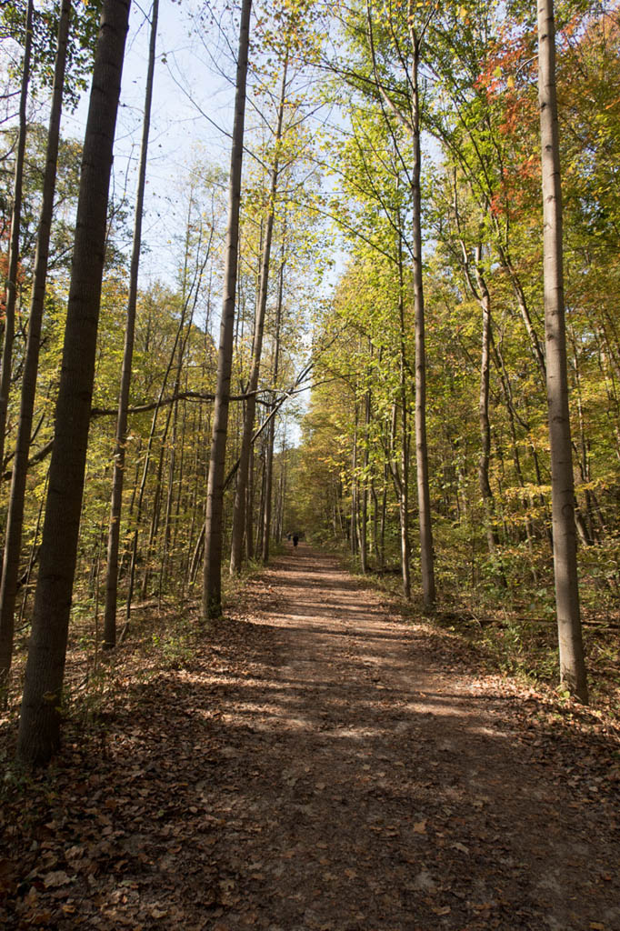 Youghiogheny River Trail