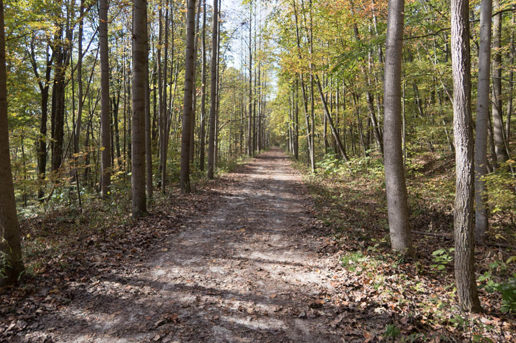 Flat trails at Ohiopyle State Park