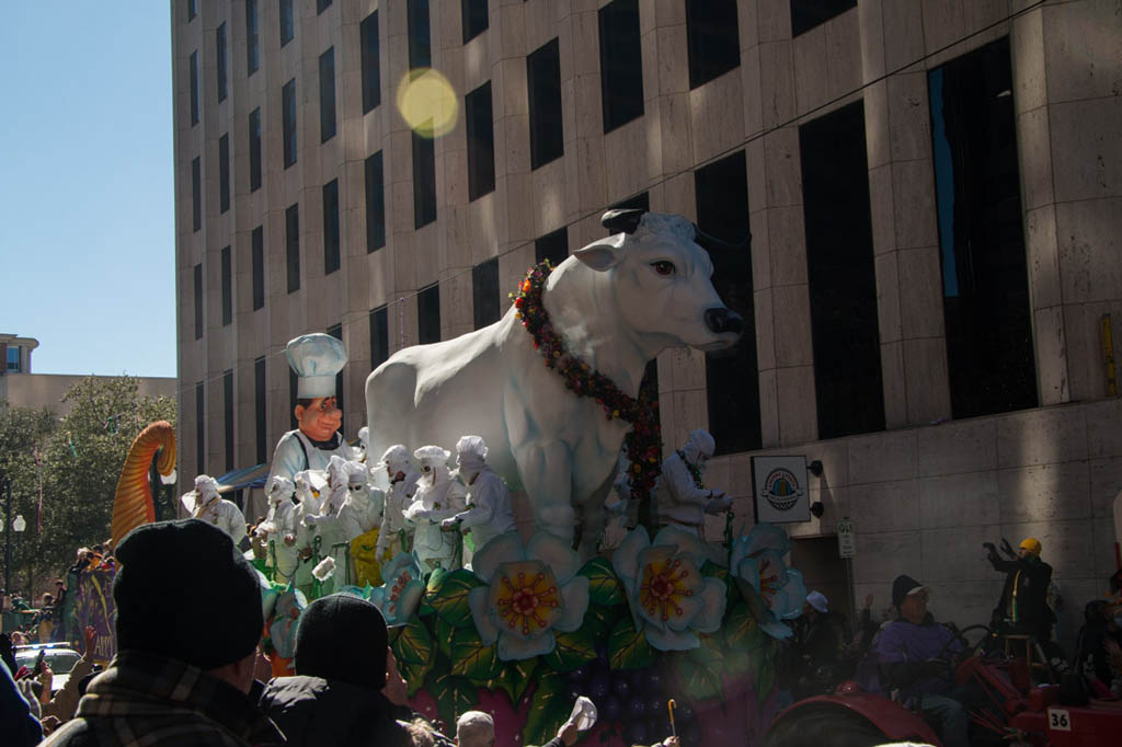 Bull float | Krewe of Rex