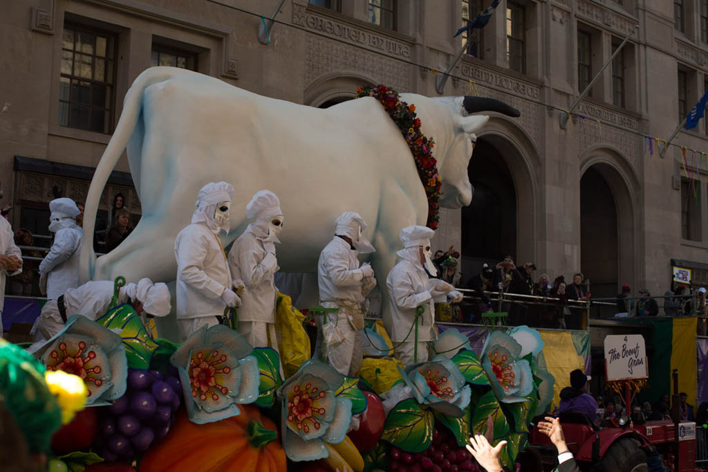 Bull float | Krewe of Rex