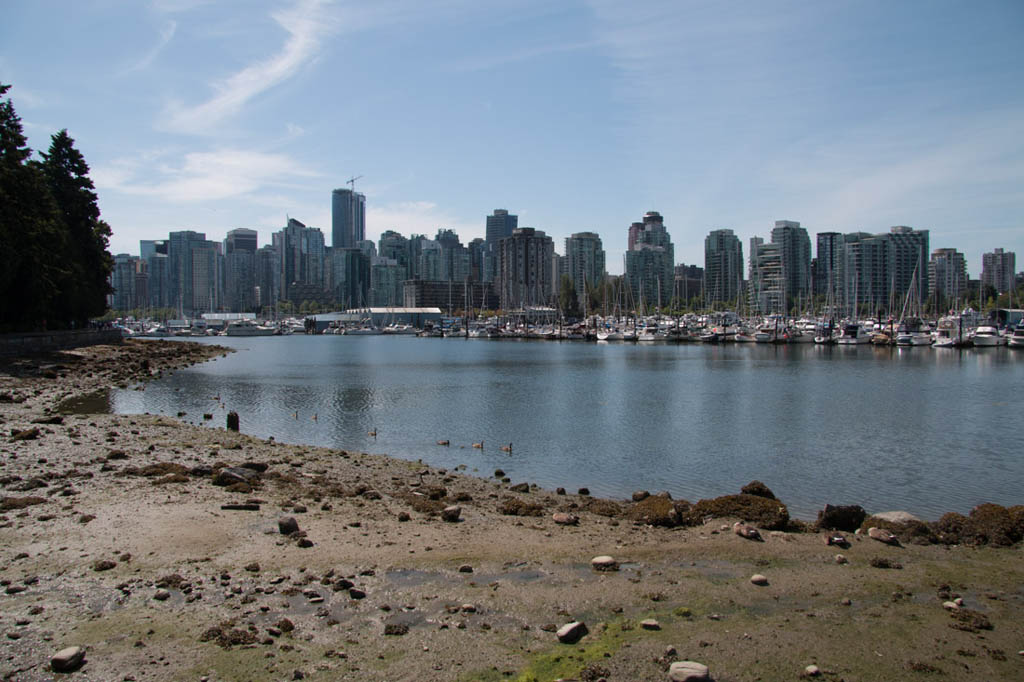 Skyline view of Vancouver from Stanley Park