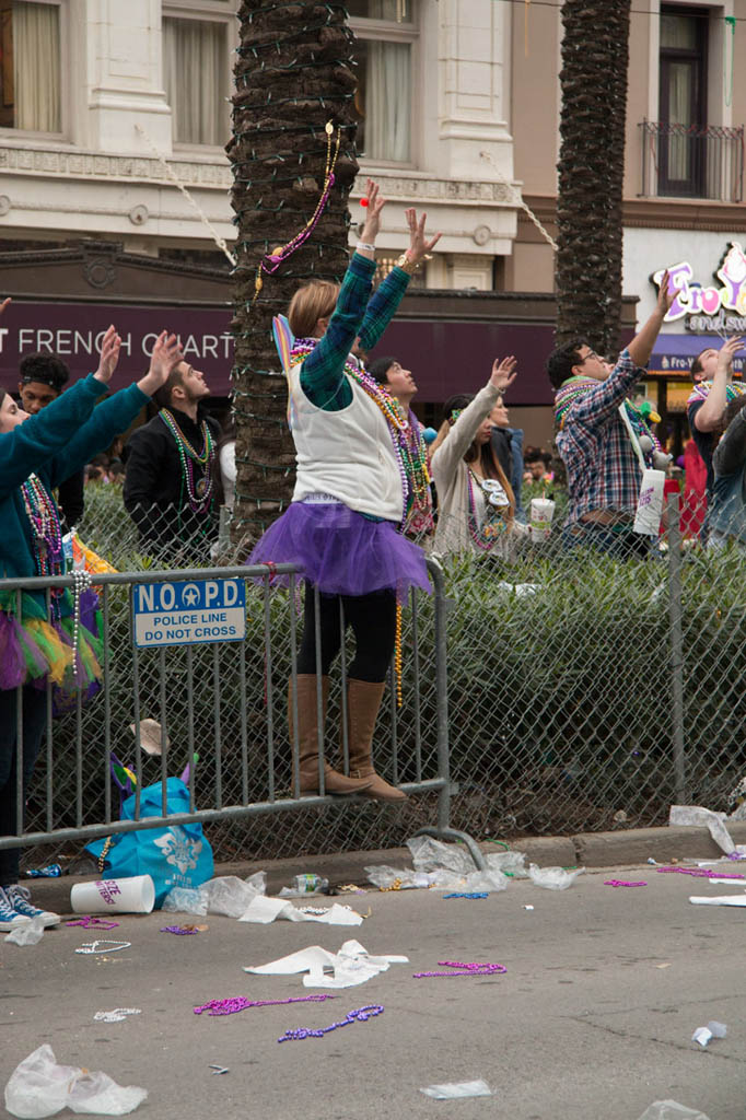 Neutral ground during Mardi Gras