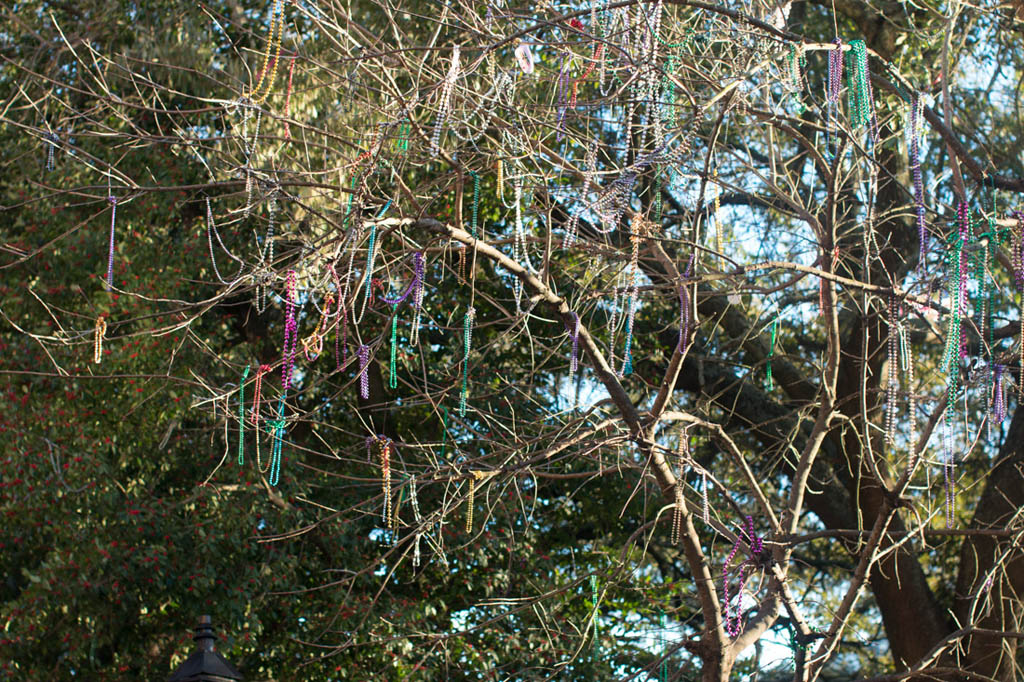 Beads in trees during Mardi Gras