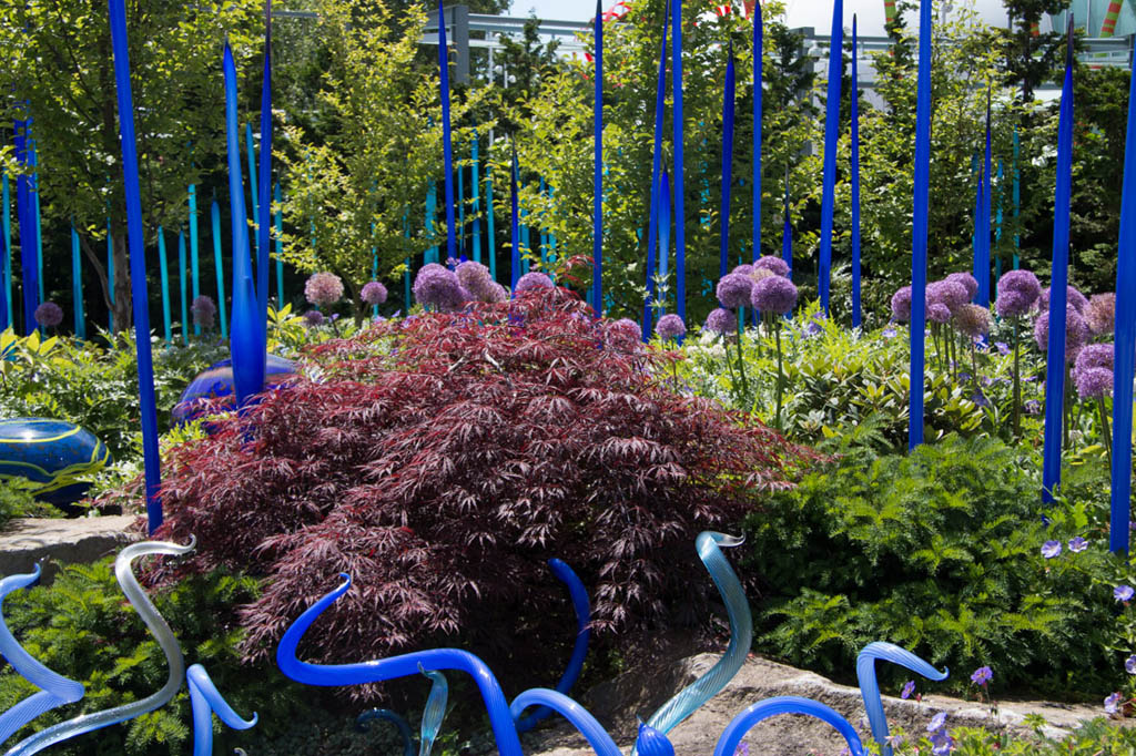 Chihuly Glass Gardens