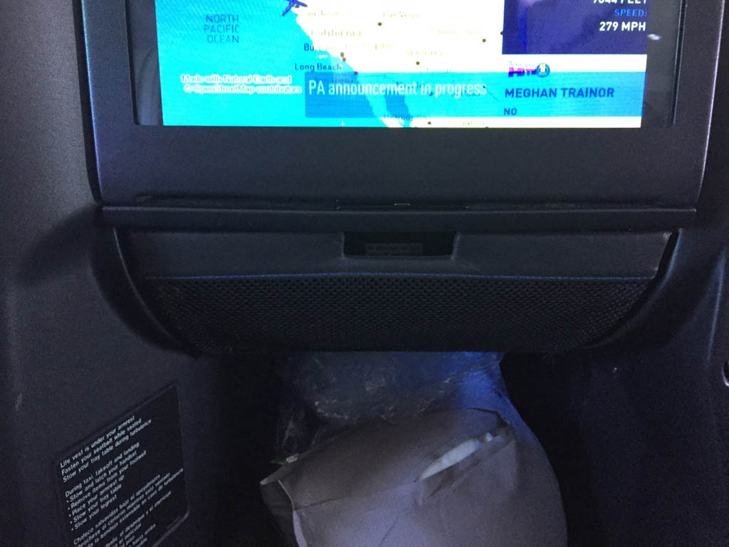 Seatback pocket on JetBlue Mint Class
