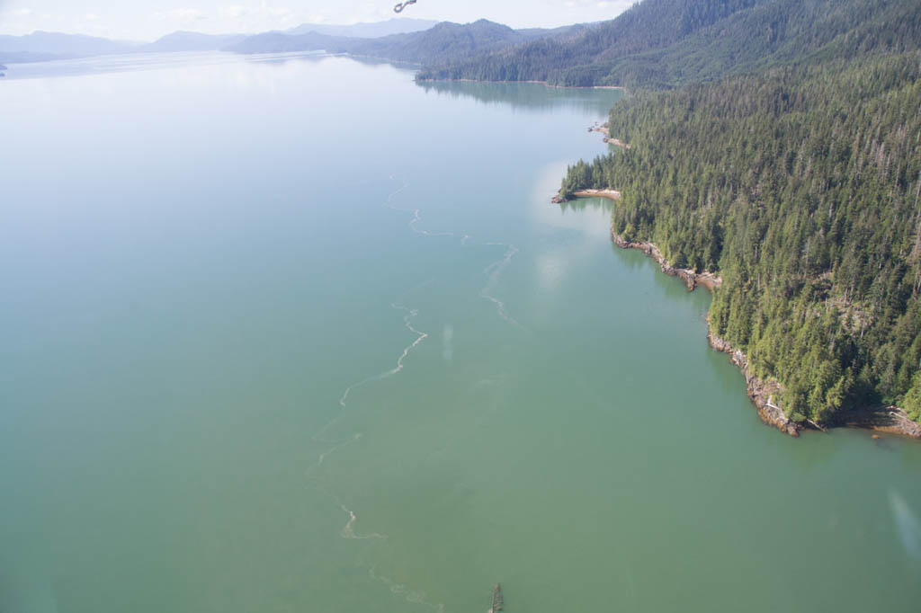 Misty Fjords National Monument | Seaplane Tour