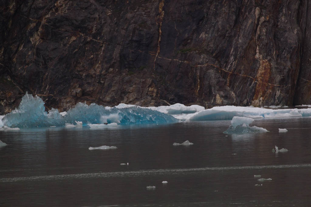 Blue icebergs in Tracy Arm Fjord