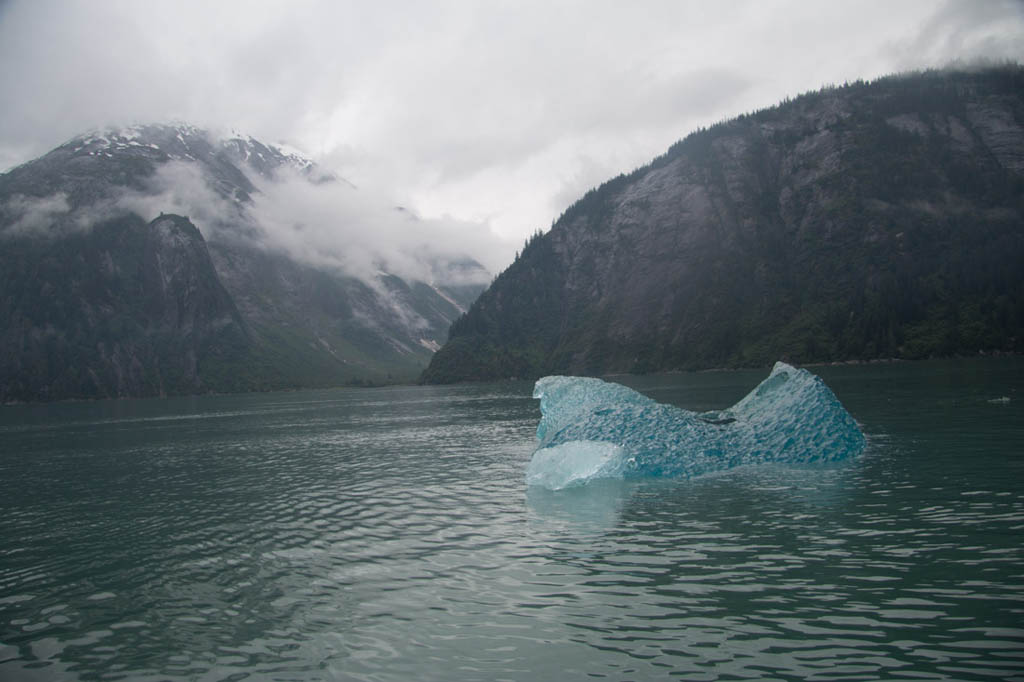 Clear blue iceberg in Alaska | Tracy Arm Fjord