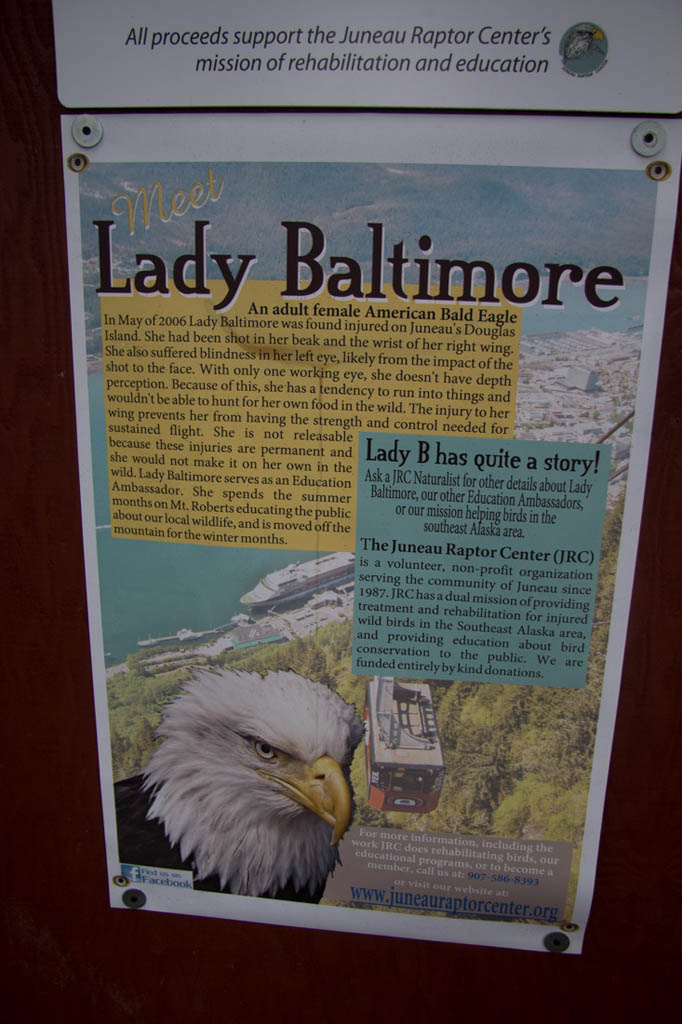 Sign about Lady Baltimore