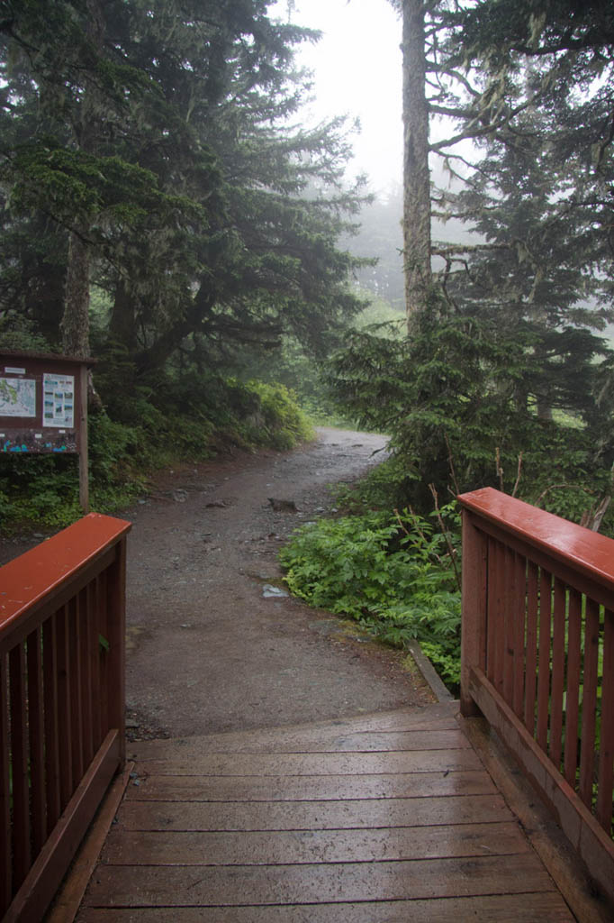 Atop mountain in Juneau