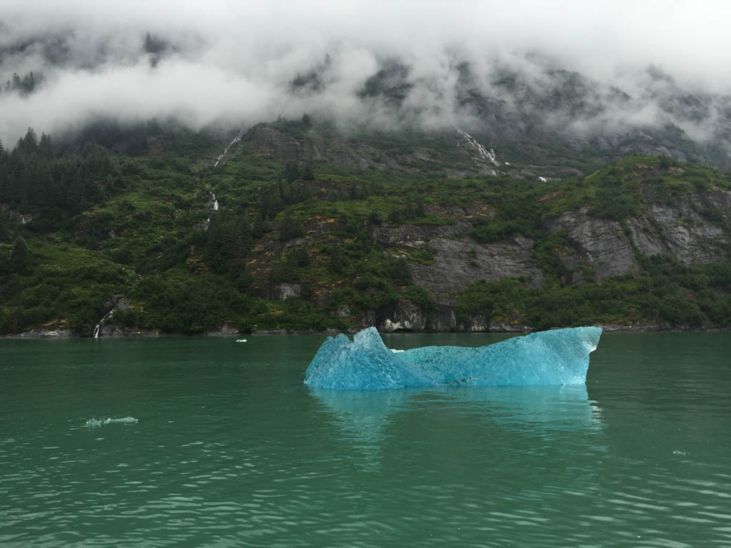 Clear blue iceberg in Tracy Arm Fjord