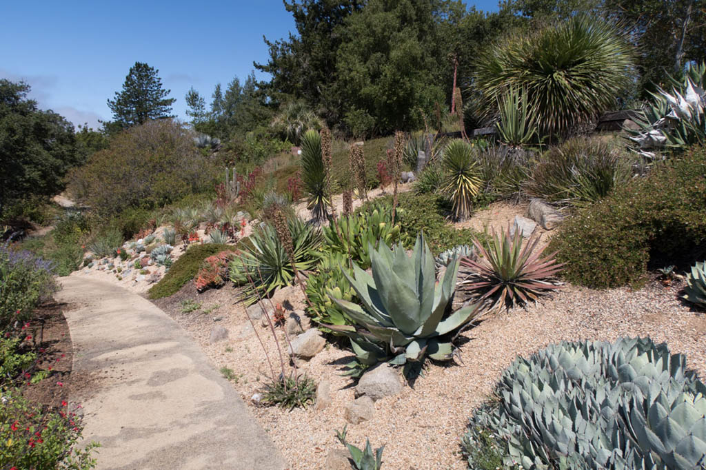 Arboretum at the University of California, Santa Cruz