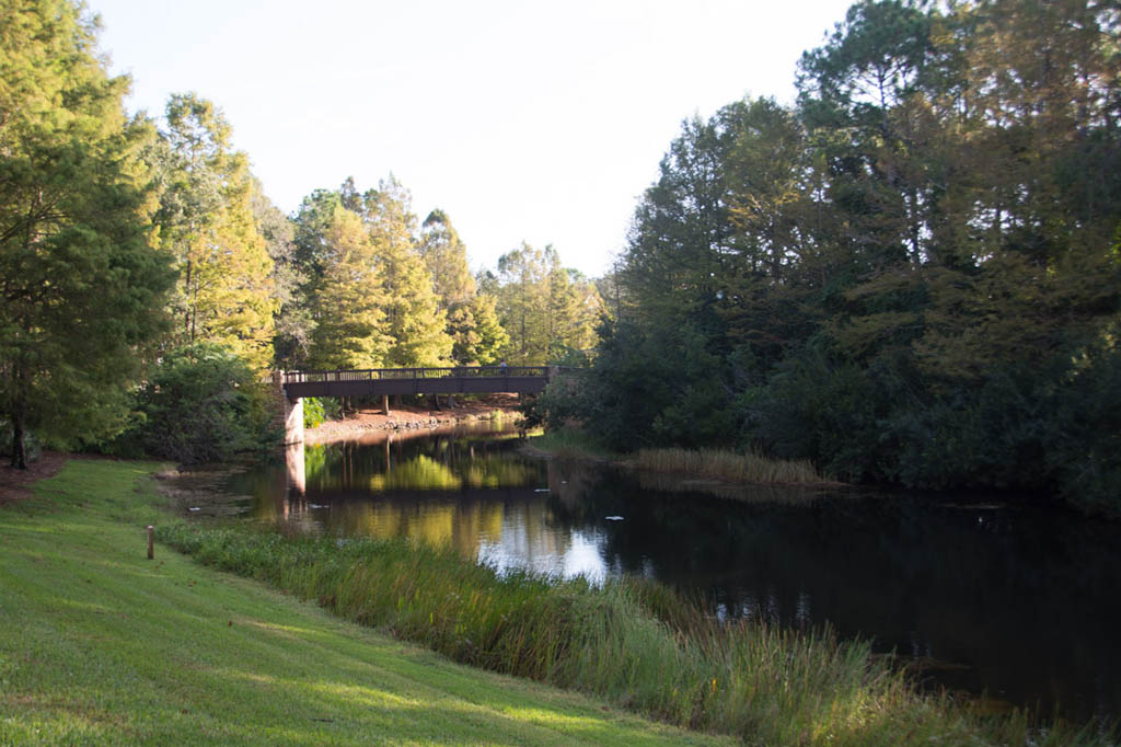 Port Orleans Riverside Grounds