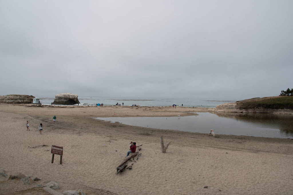 Natural Bridges State Beach