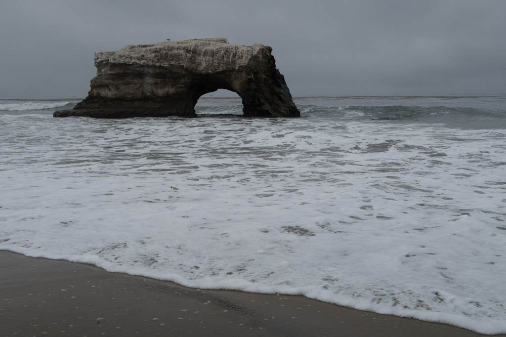 Natural Bridges State Beach in Santa Cruz