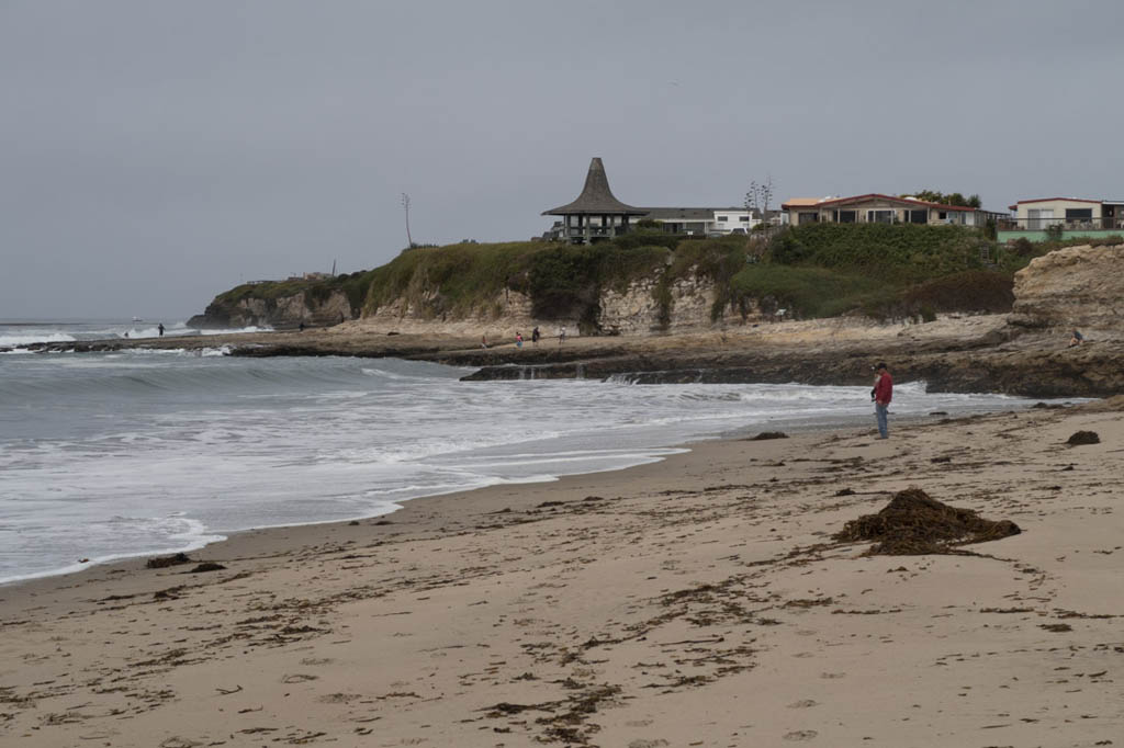 Beach at Natural Bridges State Beach