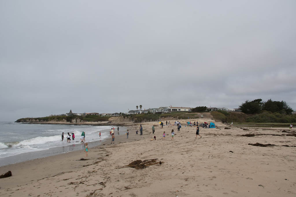 Natural Bridges State Park Beach