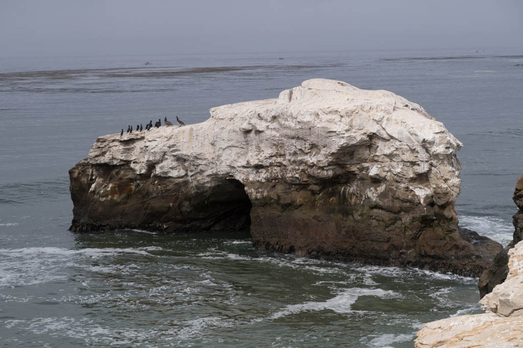 View from Overlook at Natural Bridges State Beach