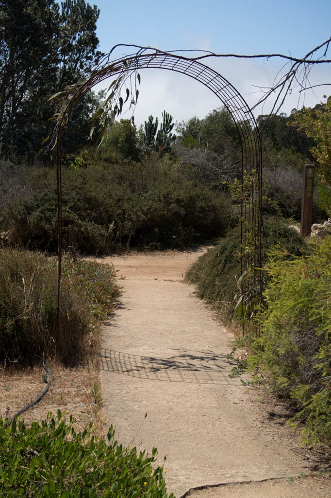 UCSC Arboretum