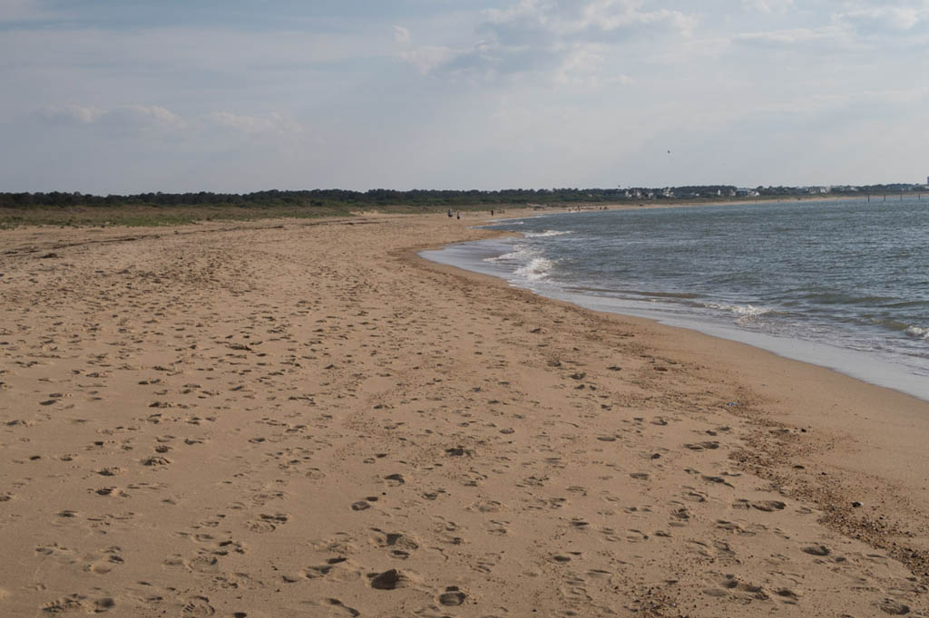 Beach at First Landing State Park