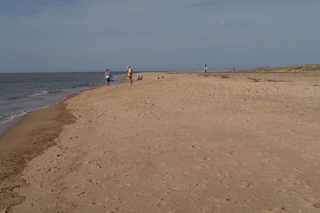 Beach at First Landing State Park | Campground Review