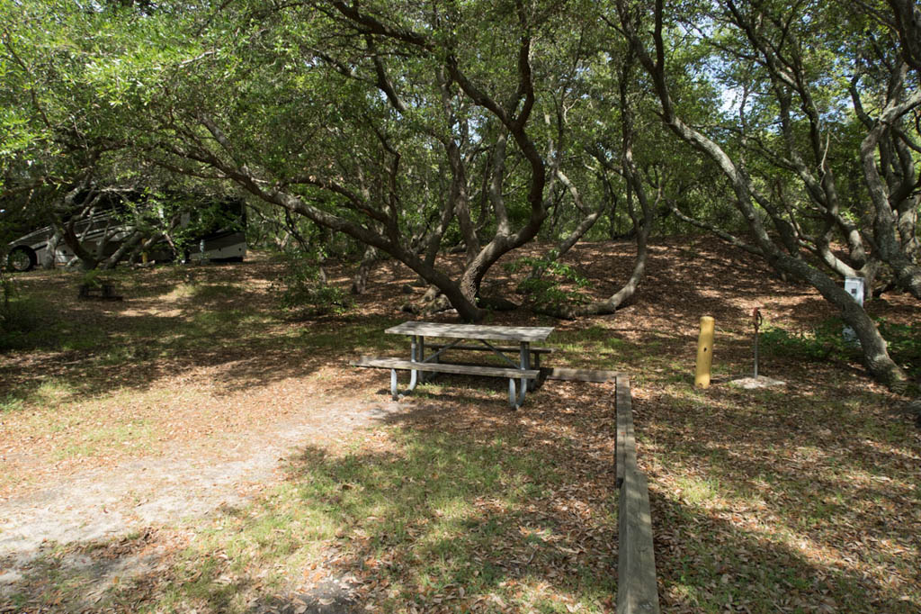 Campsite Review, empty, First Landing State Park