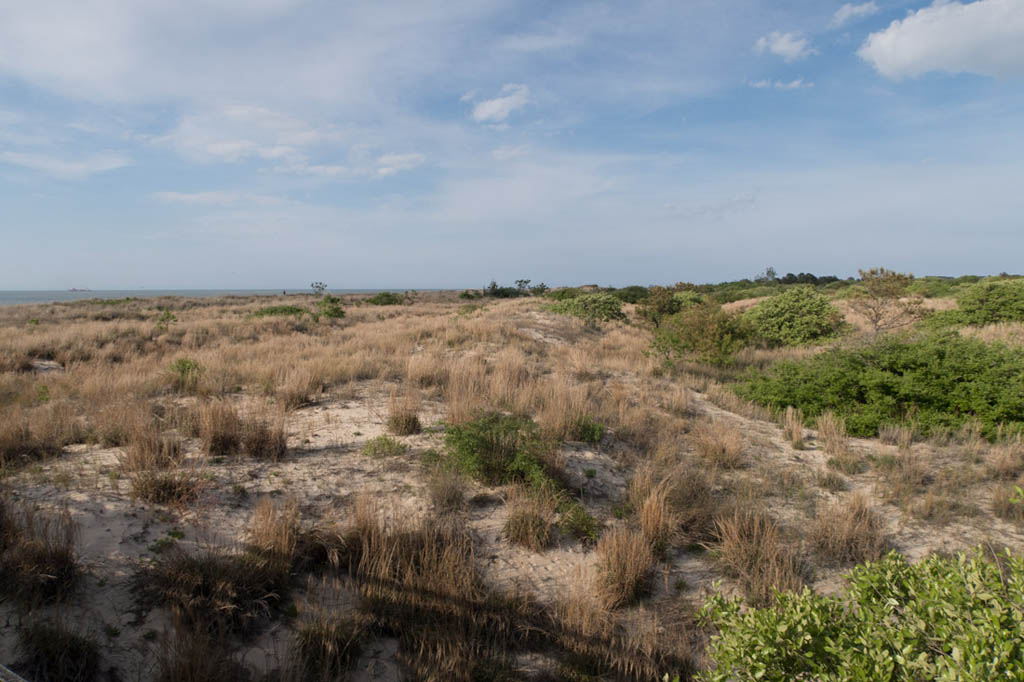 Sand dunes