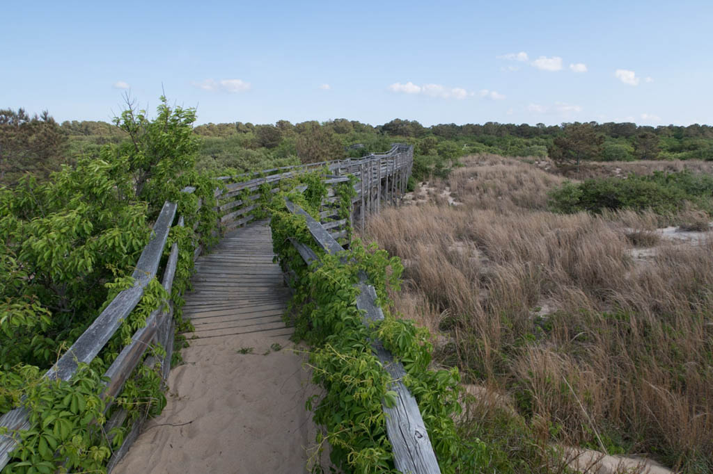 Walking to Beach from First Landing State Park