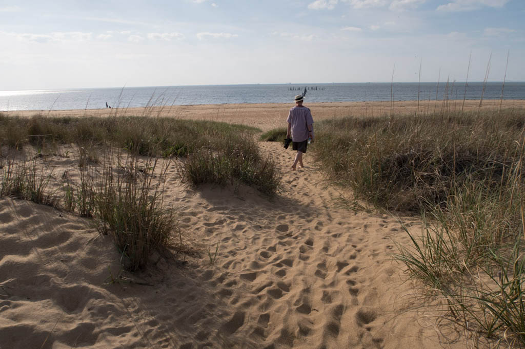 Sand dunes at First Landing State Park